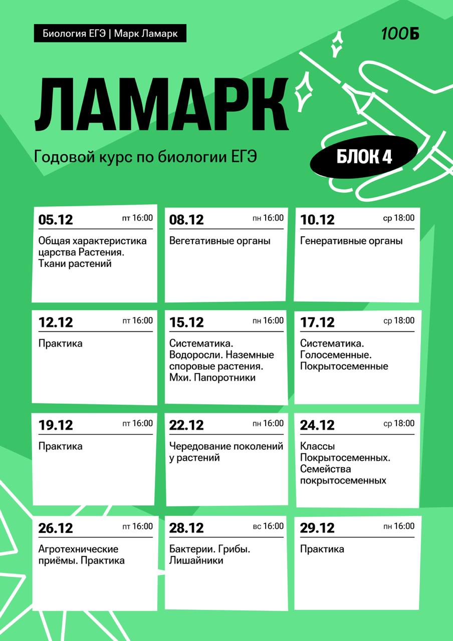 Декабрь ☃️ — программа курса, изображение 1