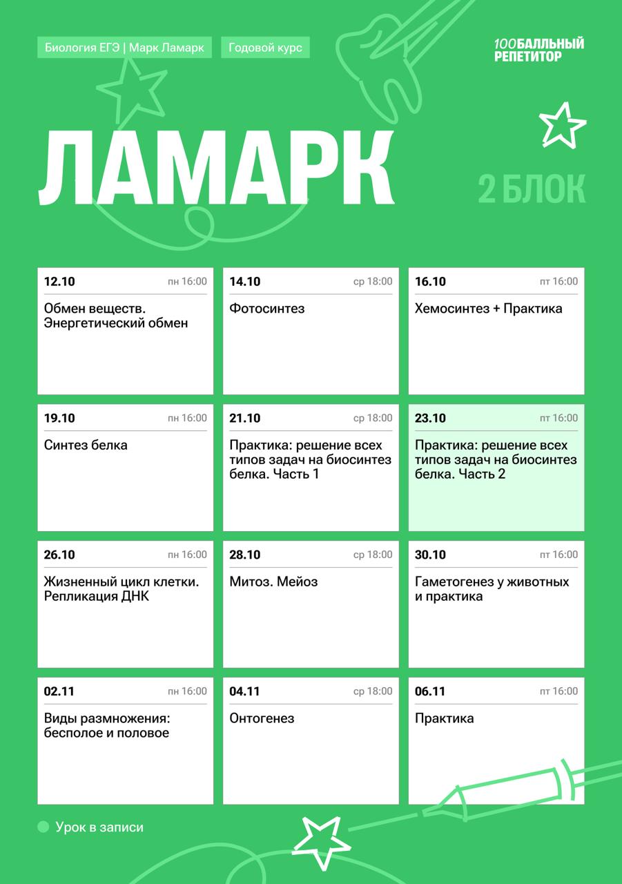 Полный курс — программа курса, изображение 2