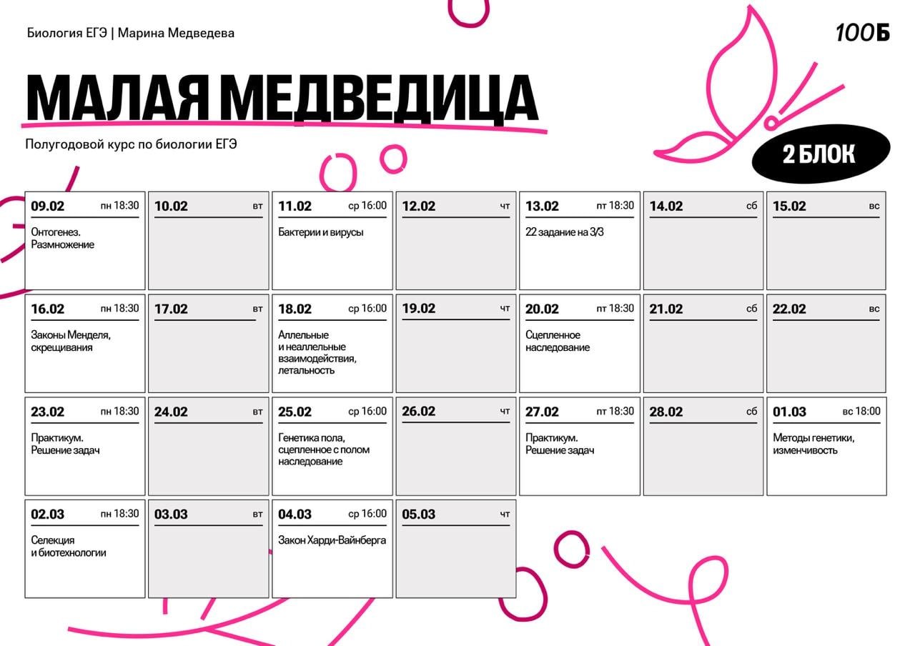 Февраль ❄️ — программа курса, изображение 1