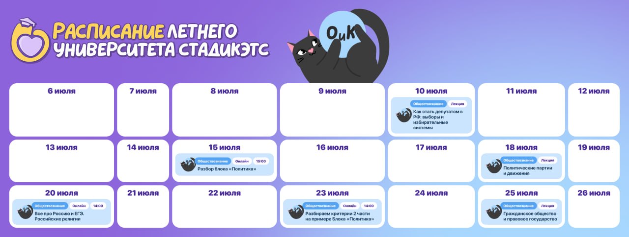 Обществознание и Котики — программа курса, изображение 1