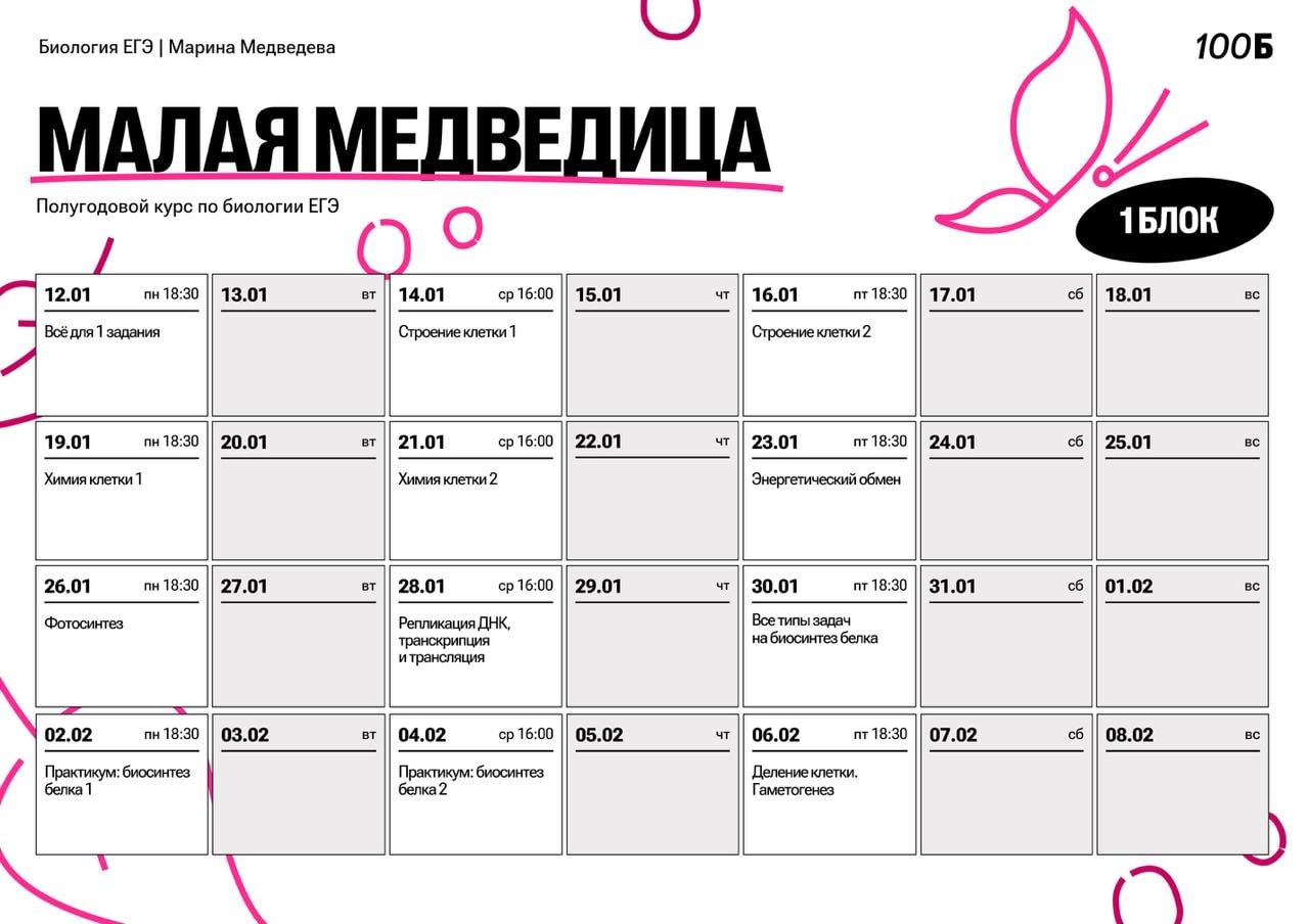Январь 🎄 — программа курса, изображение 1