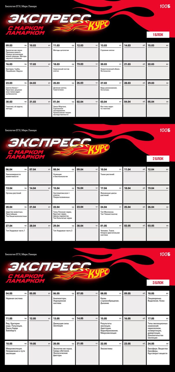 Биология «С Марком» 🧬 — программа курса, изображение 1