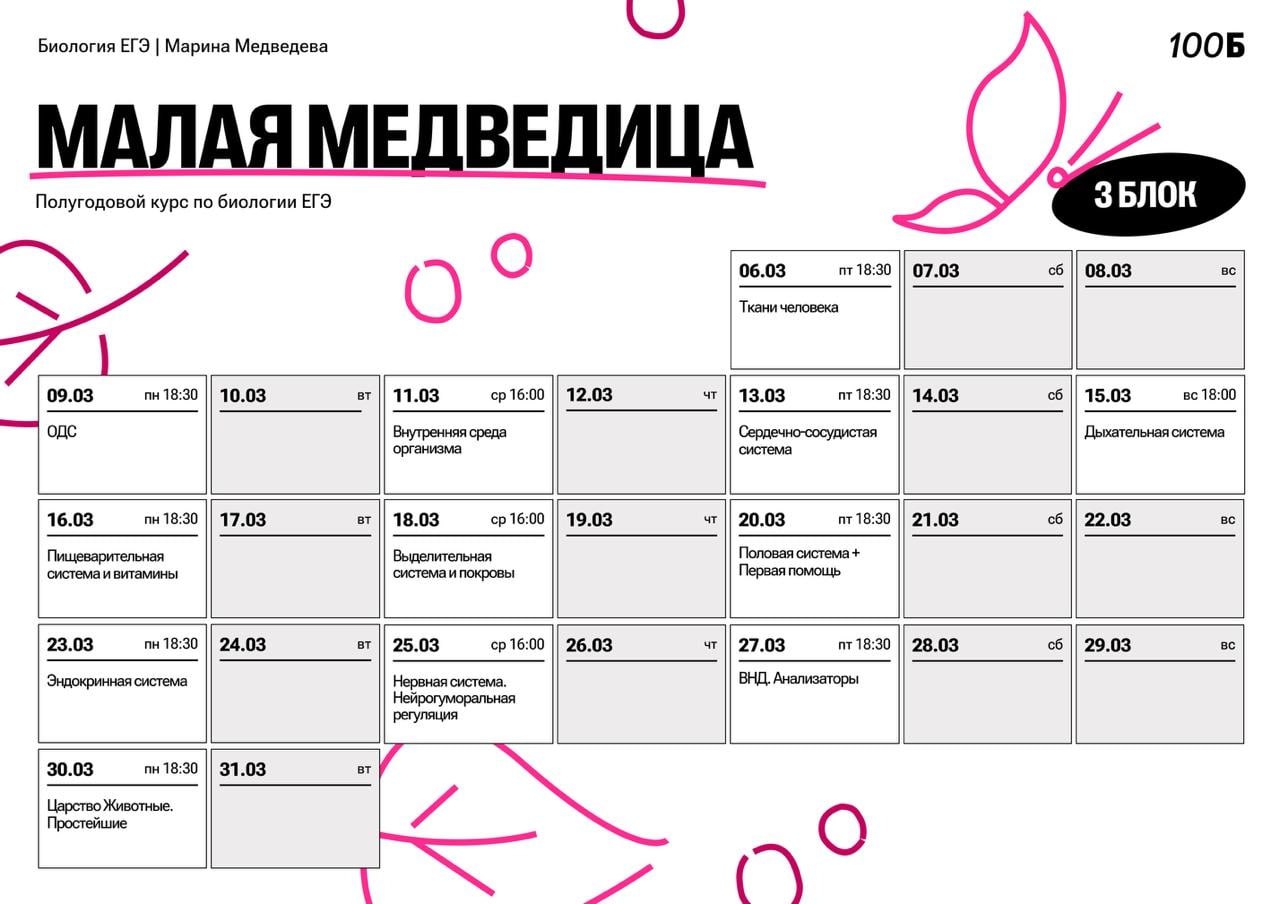 Март 🌤 — программа курса, изображение 1