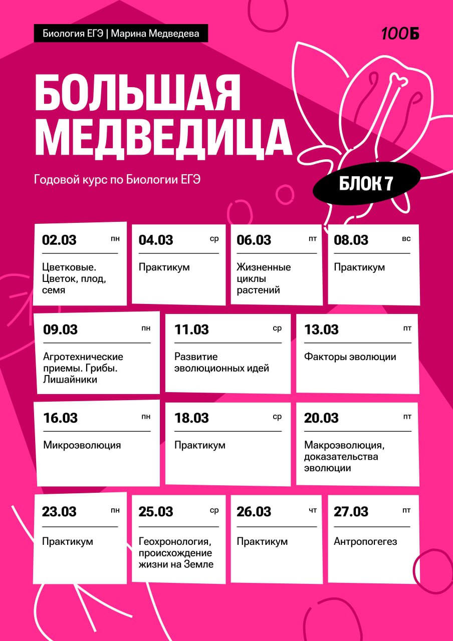 Март 🌤 — программа курса, изображение 1