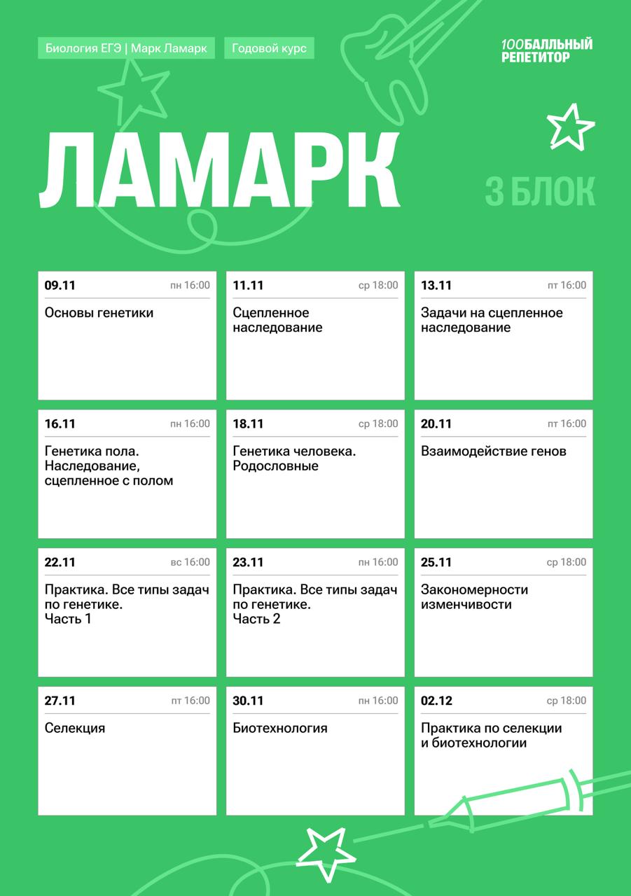 Полный курс — программа курса, изображение 3