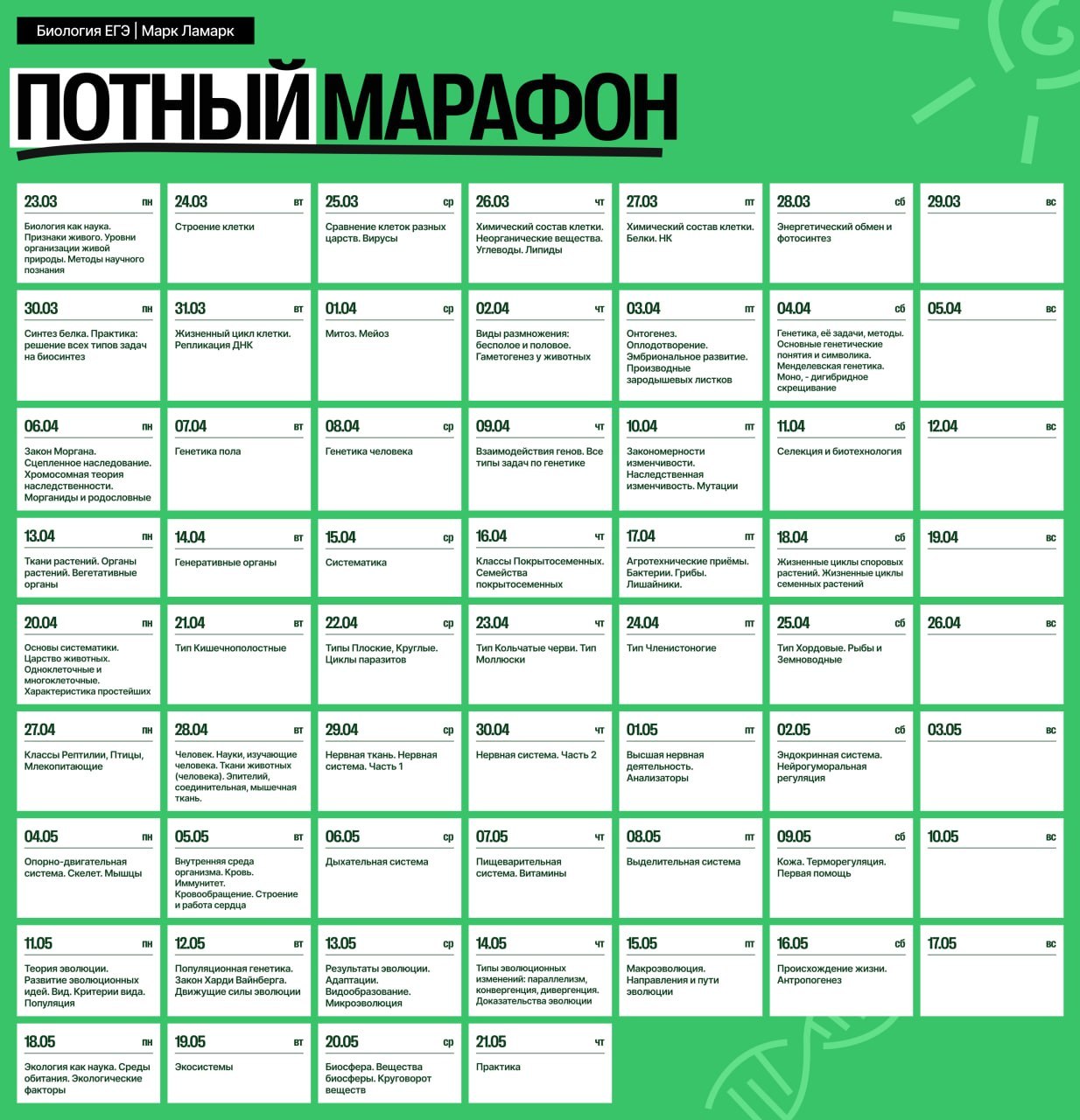 Биология «С Марком» 🧬 — программа курса, изображение 1