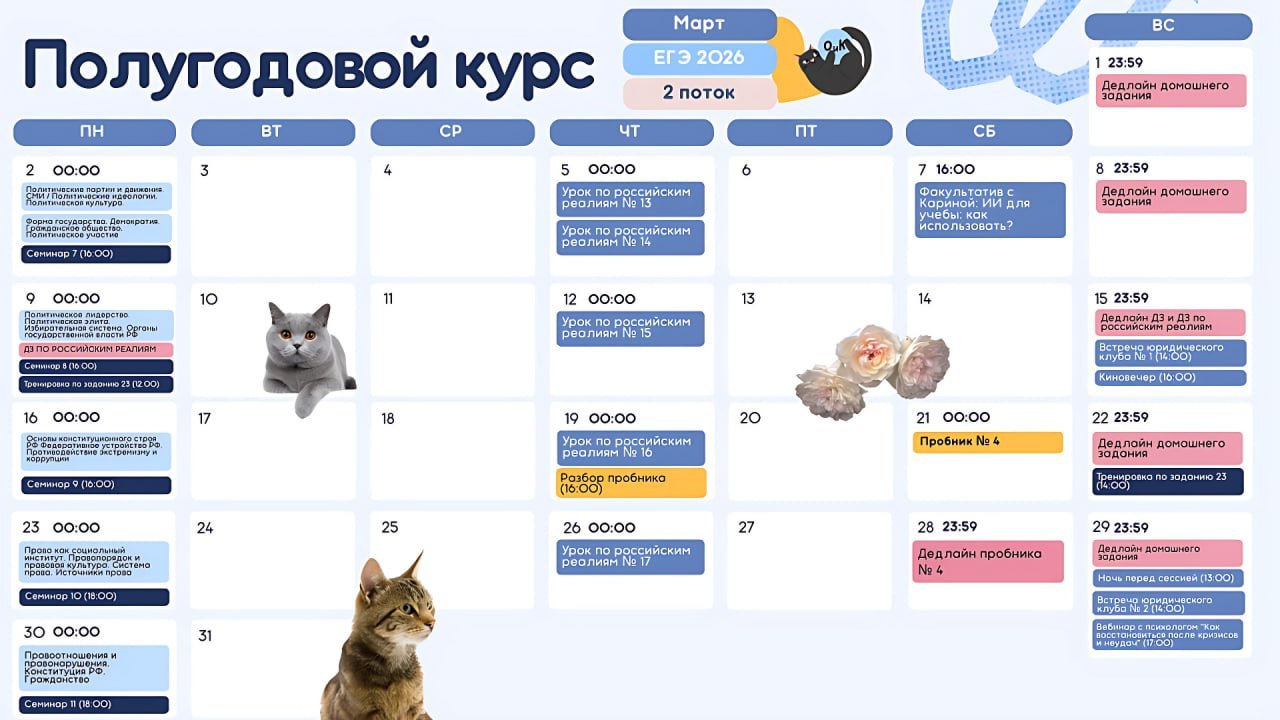 Март 🌤 — программа курса, изображение 1