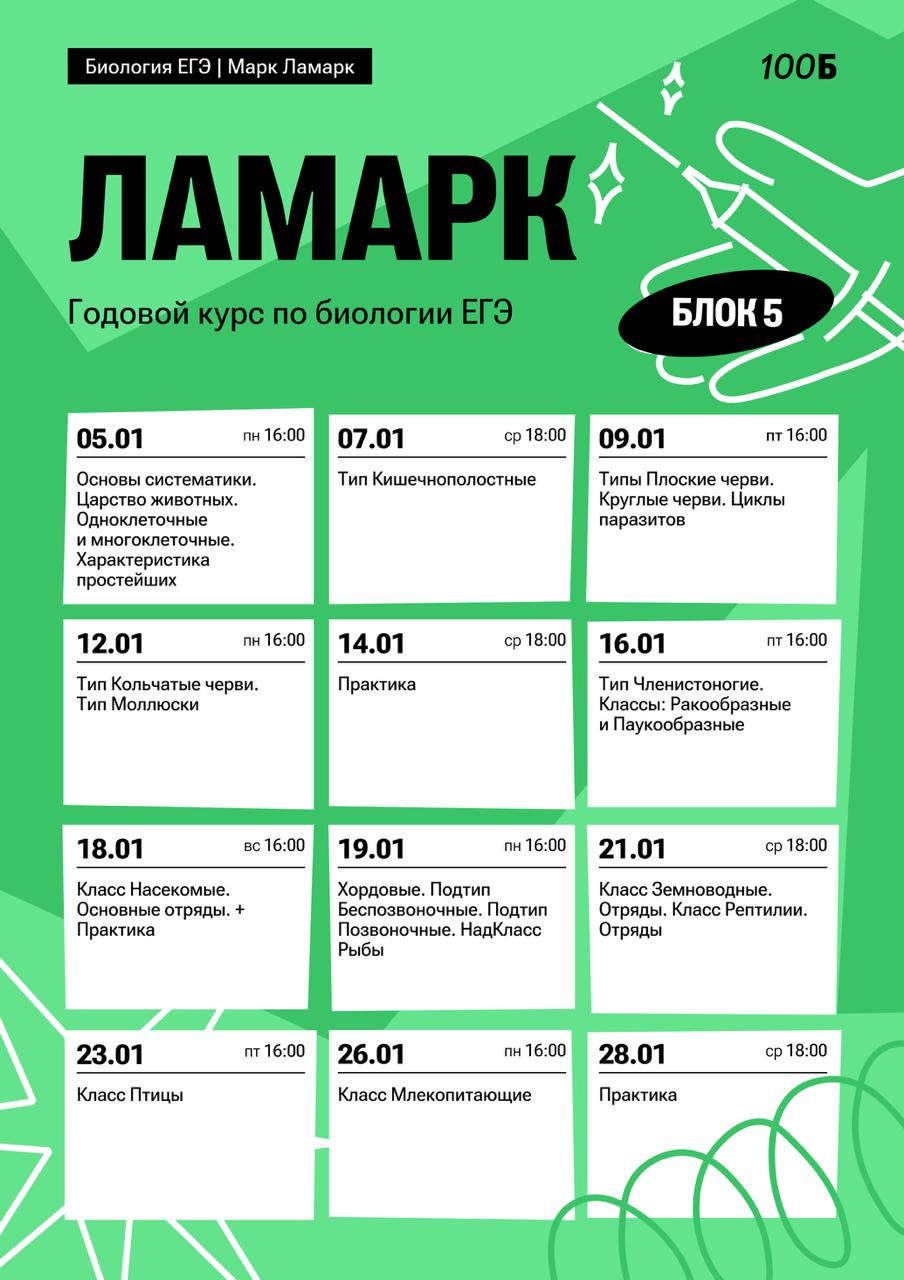 Январь 🎄 — программа курса, изображение 1