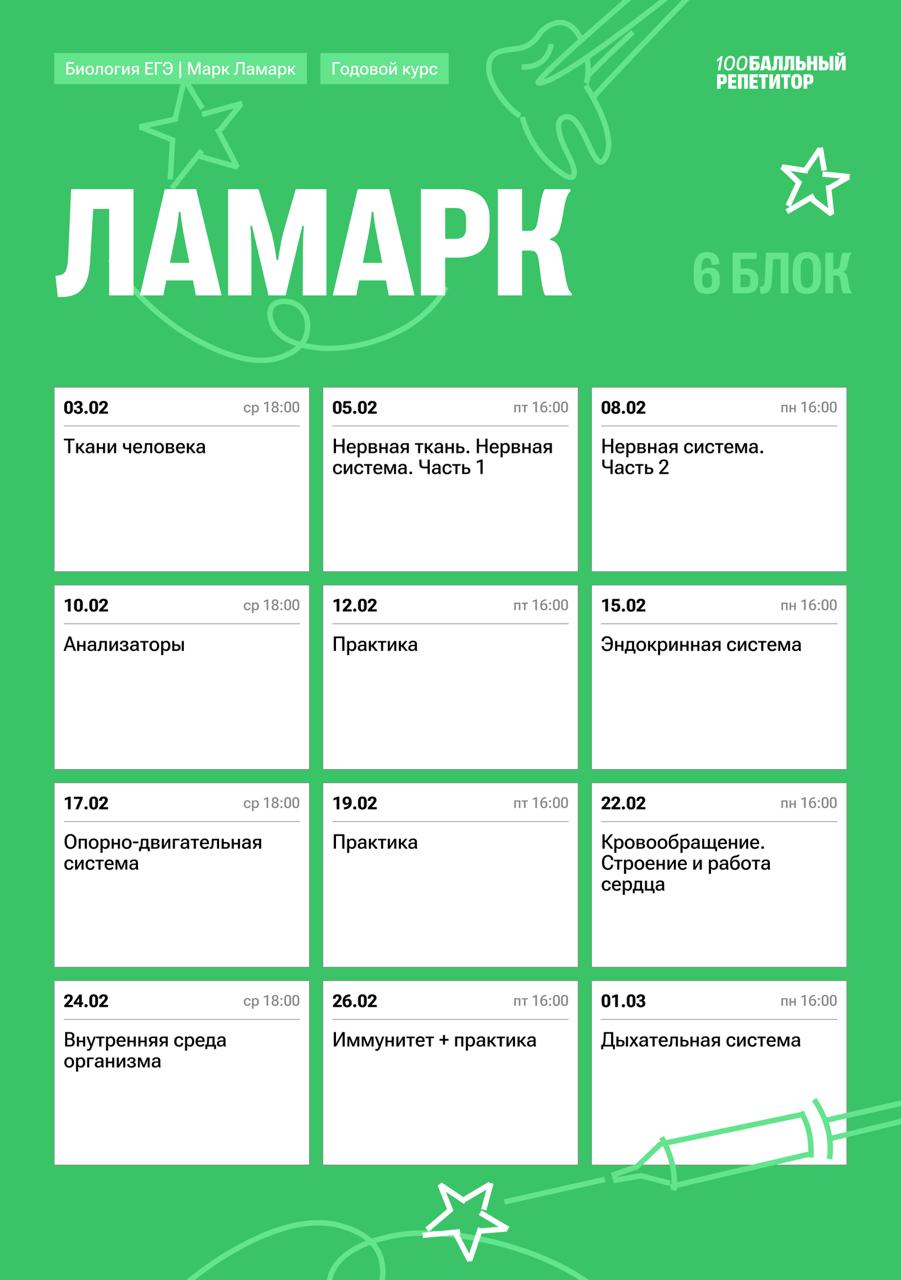 Полный курс — программа курса, изображение 6
