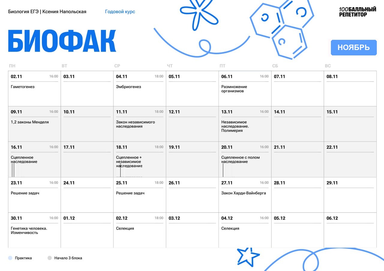 Ноябрь — программа курса, изображение 1