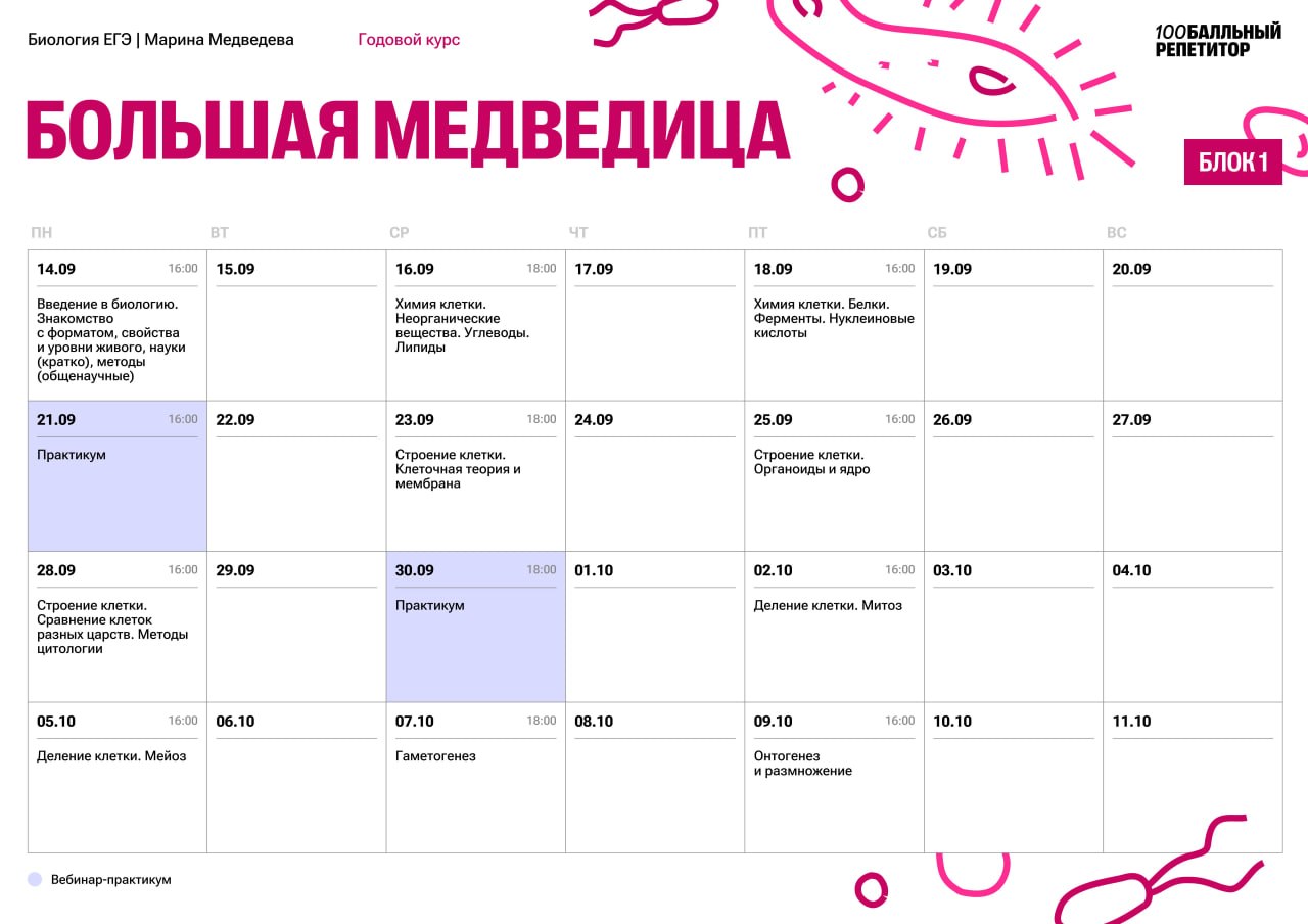Сентябрь — программа курса, изображение 1