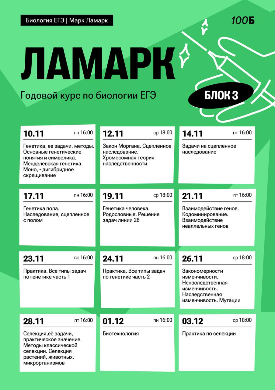 Ноябрь 🌨 — программа курса, изображение 1
