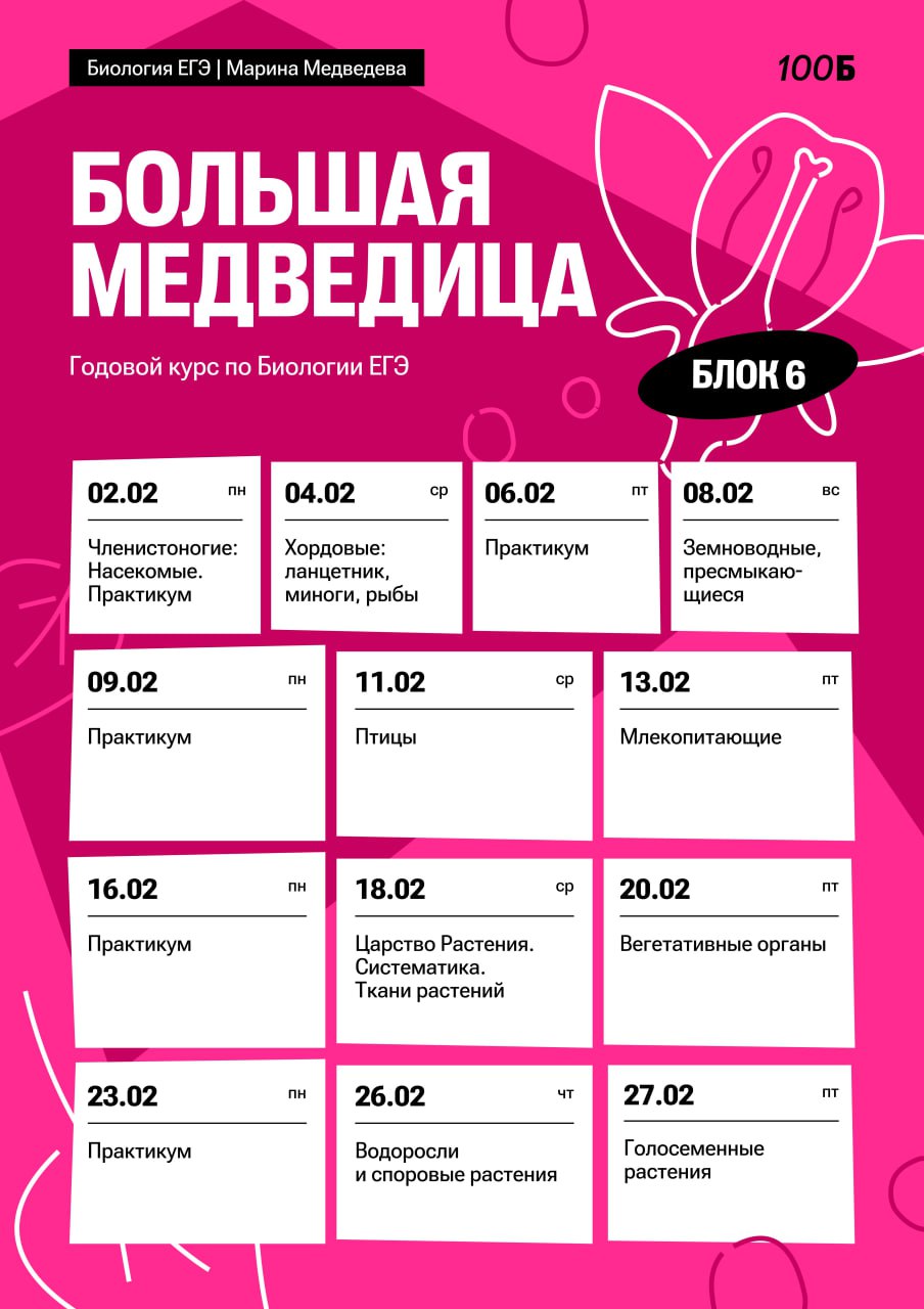 Февраль ❄️ — программа курса, изображение 1