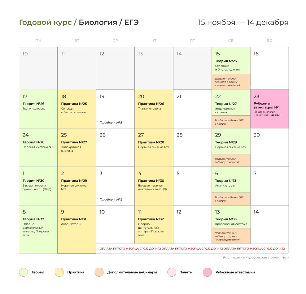 Декабрь ☃️ — программа курса, изображение 1