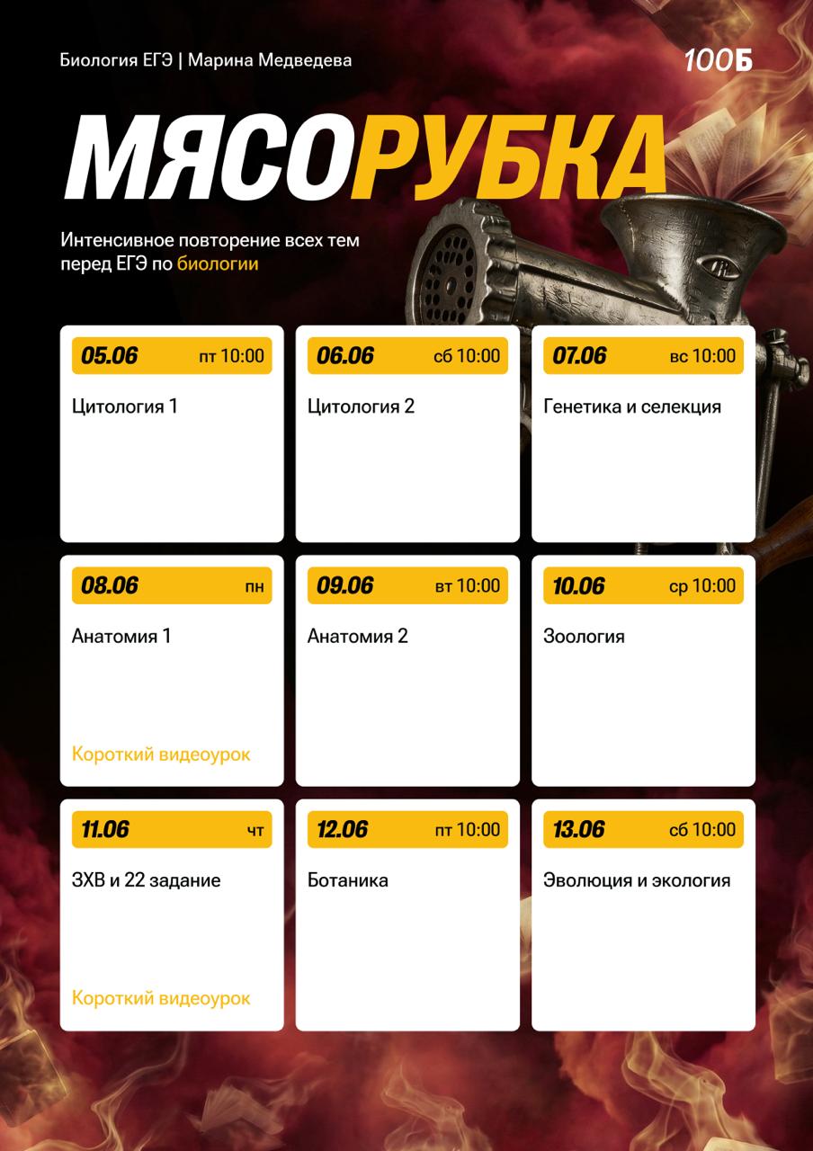Биология «С Мариной» 🧬 — программа курса, изображение 1