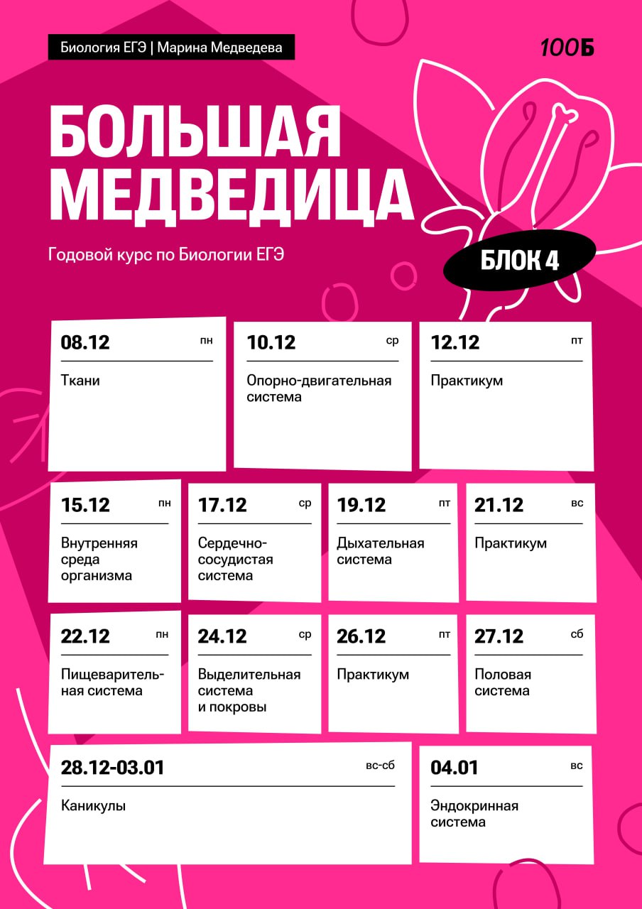 Декабрь ☃️ — программа курса, изображение 1
