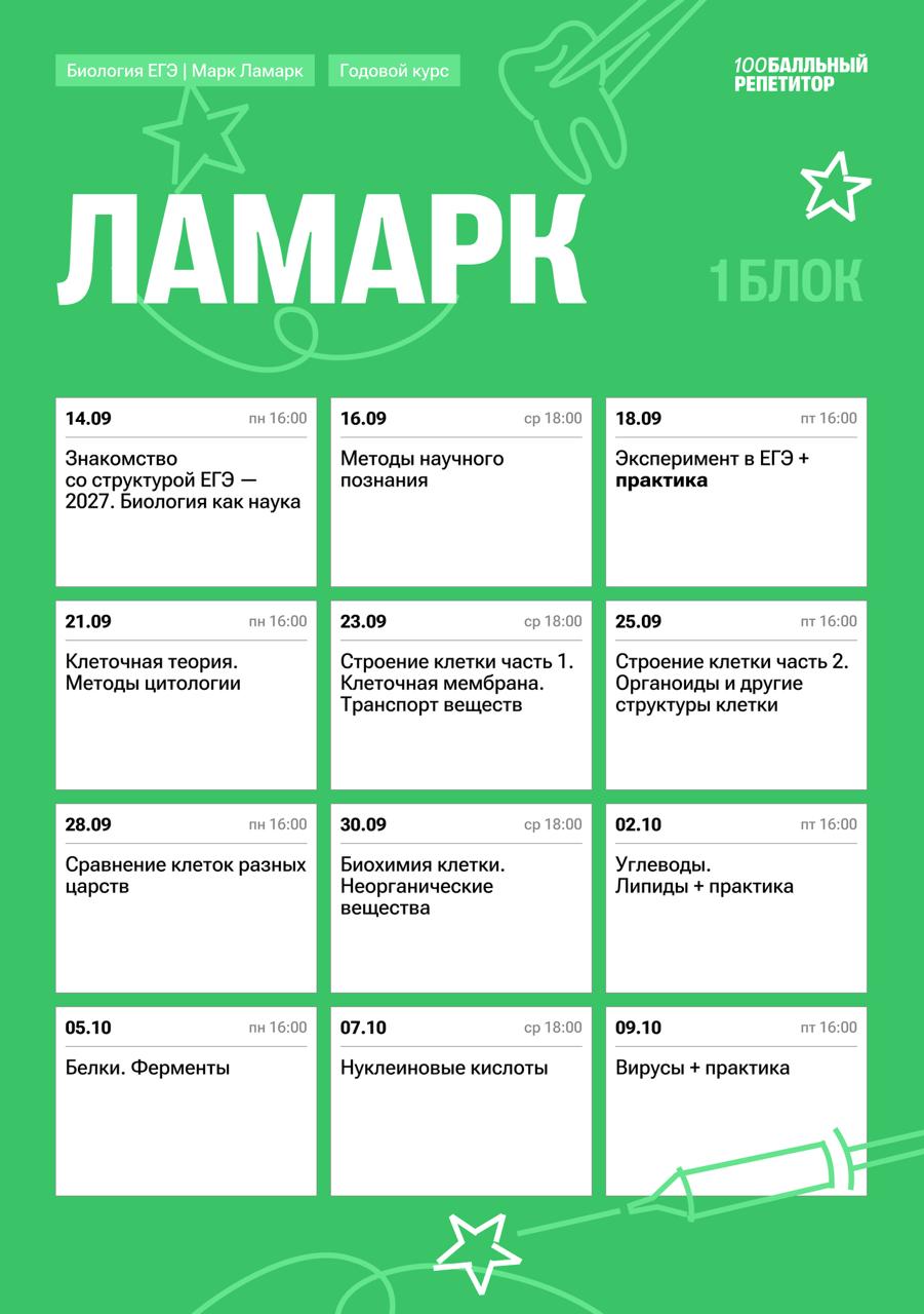 Полный курс — программа курса, изображение 1