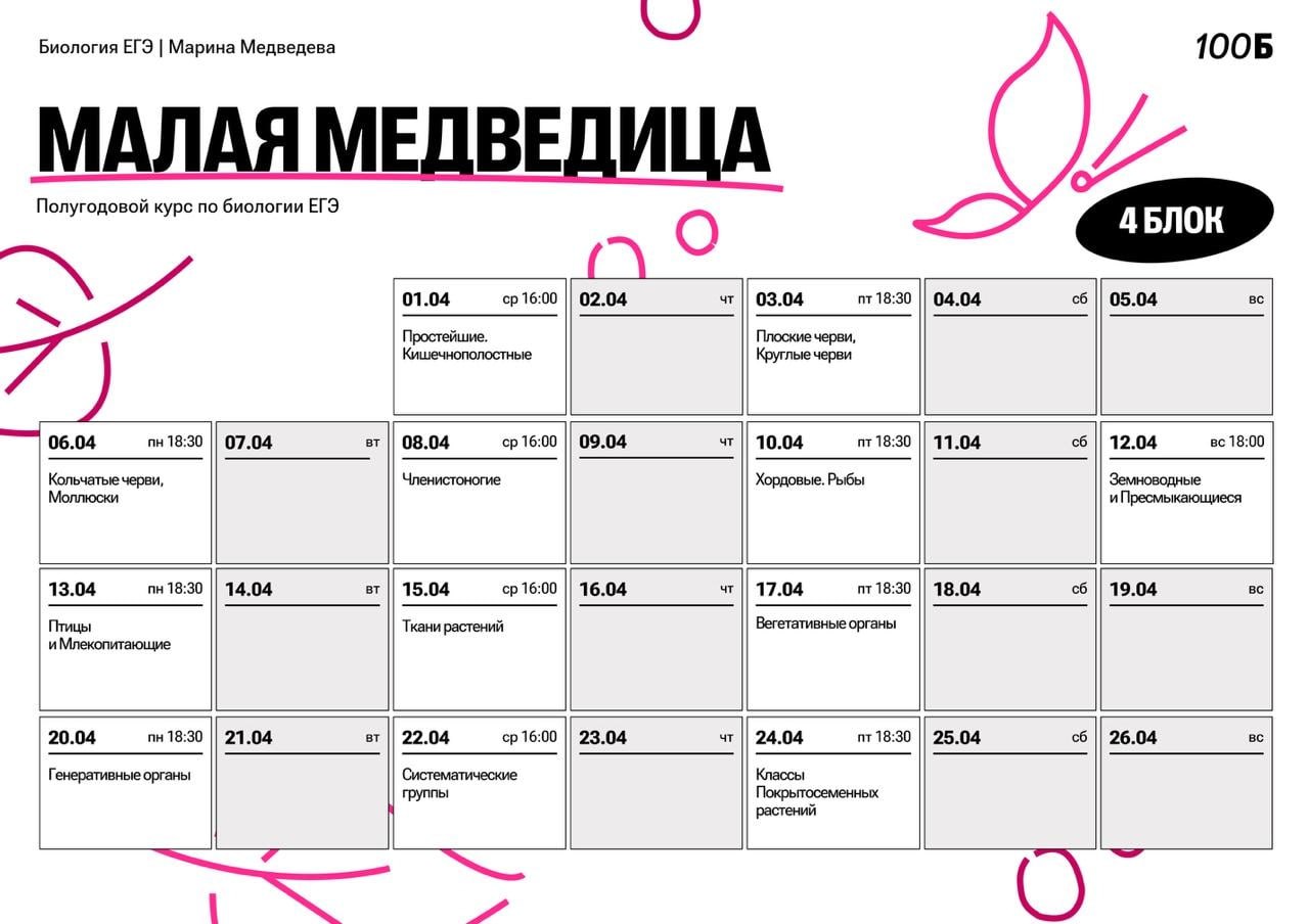 Апрель ☀️ — программа курса, изображение 1