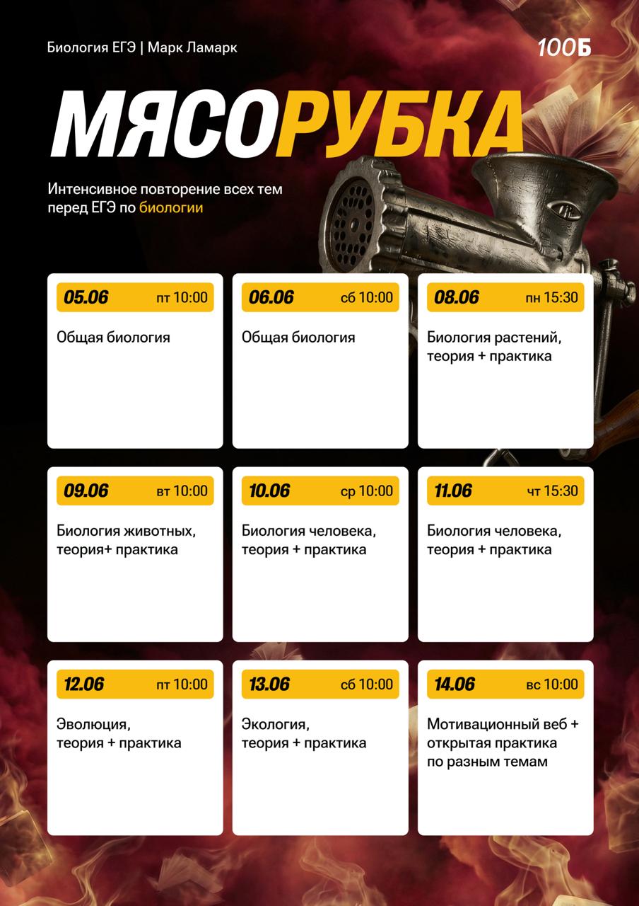 Биология «С Марком» 🧬 — программа курса, изображение 1