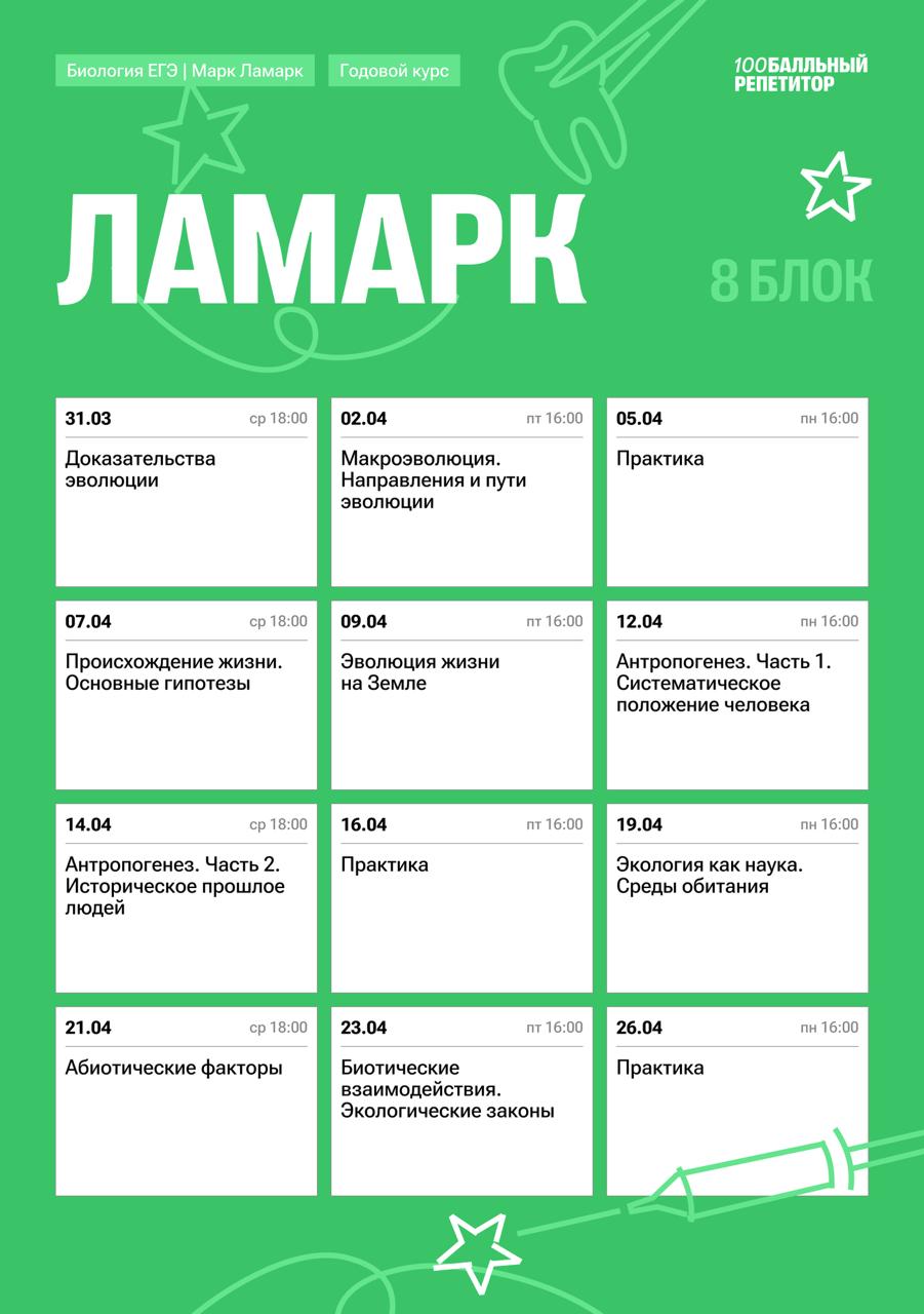 Полный курс — программа курса, изображение 8