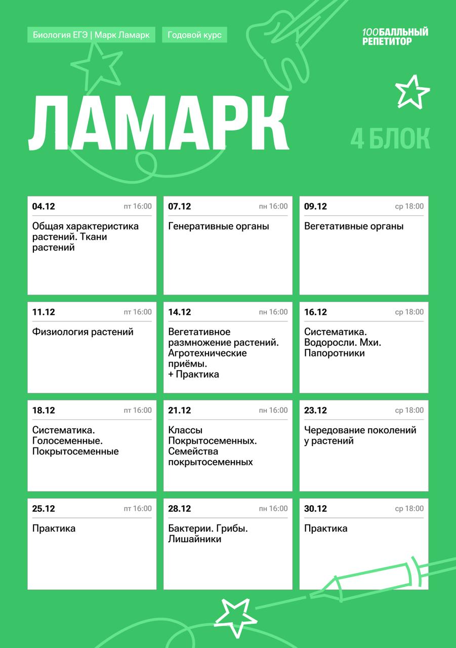 Полный курс — программа курса, изображение 4