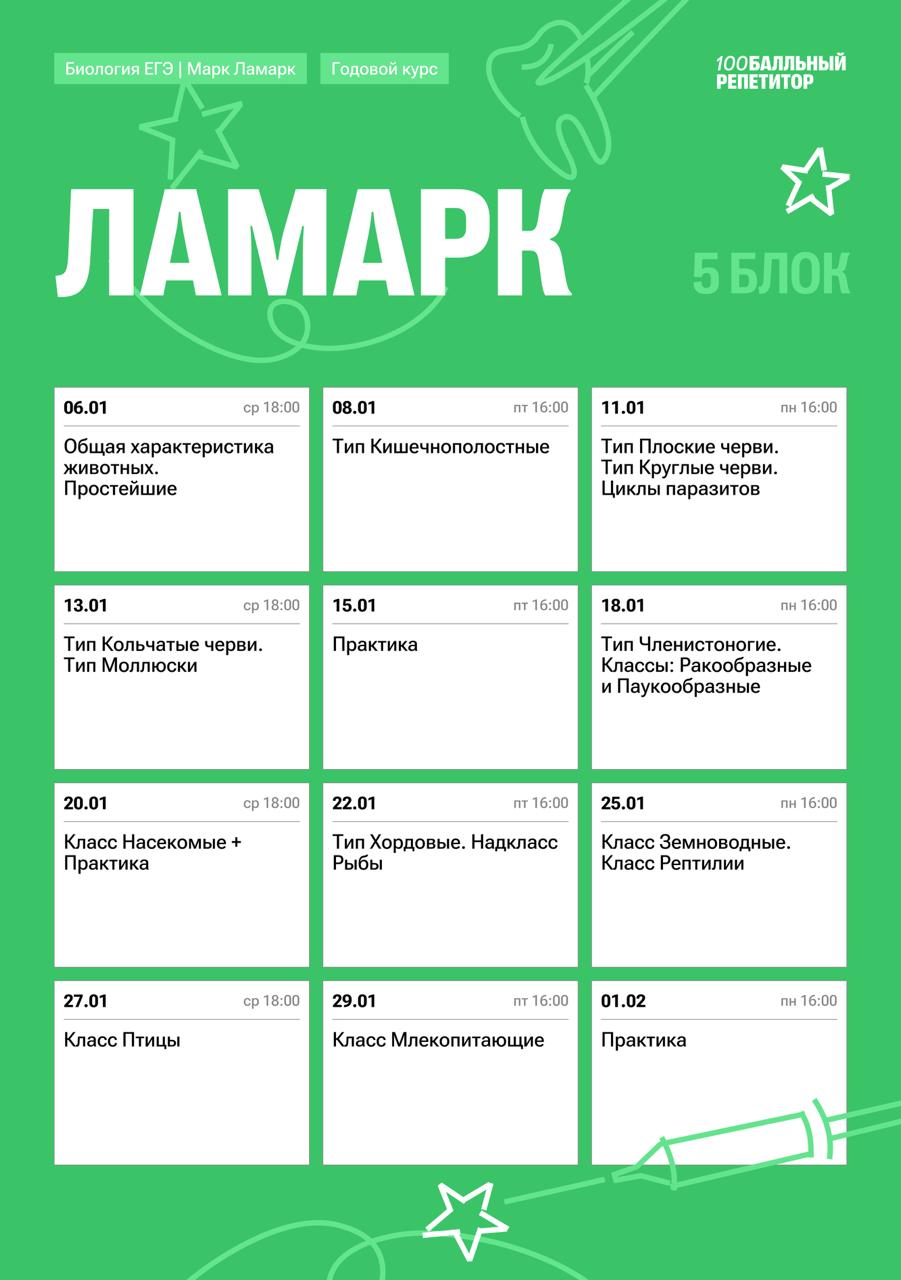 Полный курс — программа курса, изображение 5